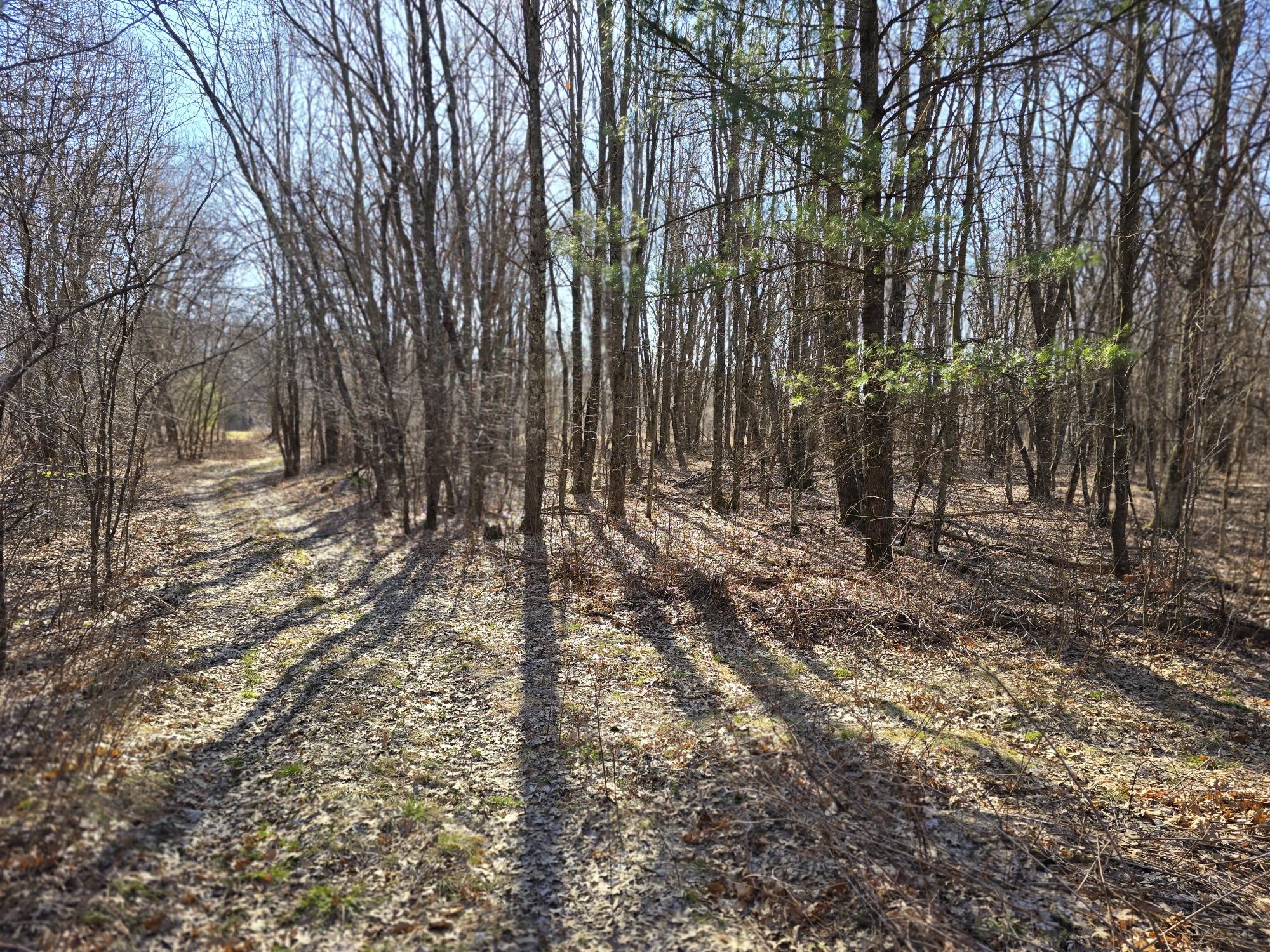Lot 2 Buck Rub Road Eau Claire WI 54703 1599793 image10