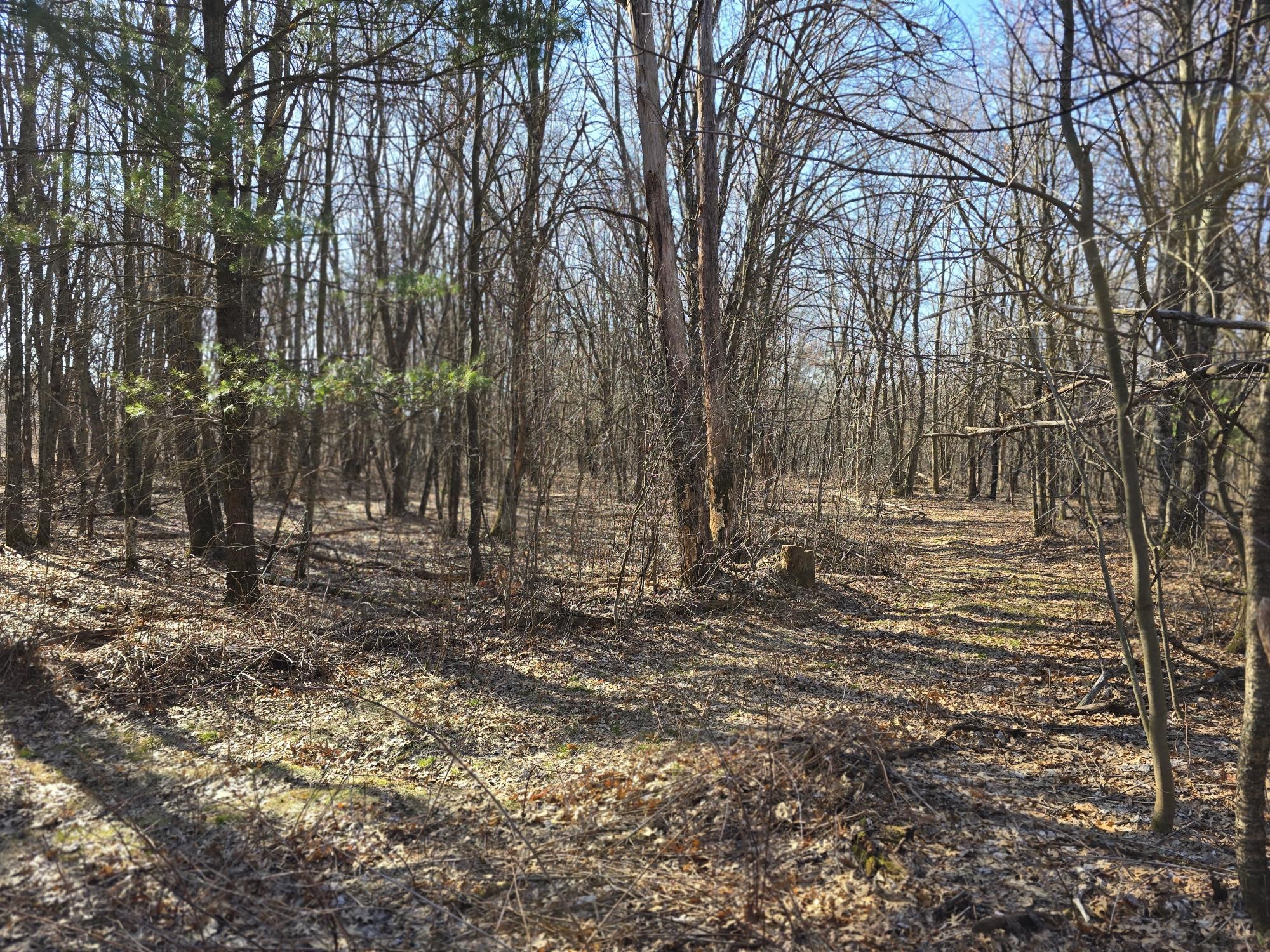 Lot 2 Buck Rub Road Eau Claire WI 54703 1599793 image11
