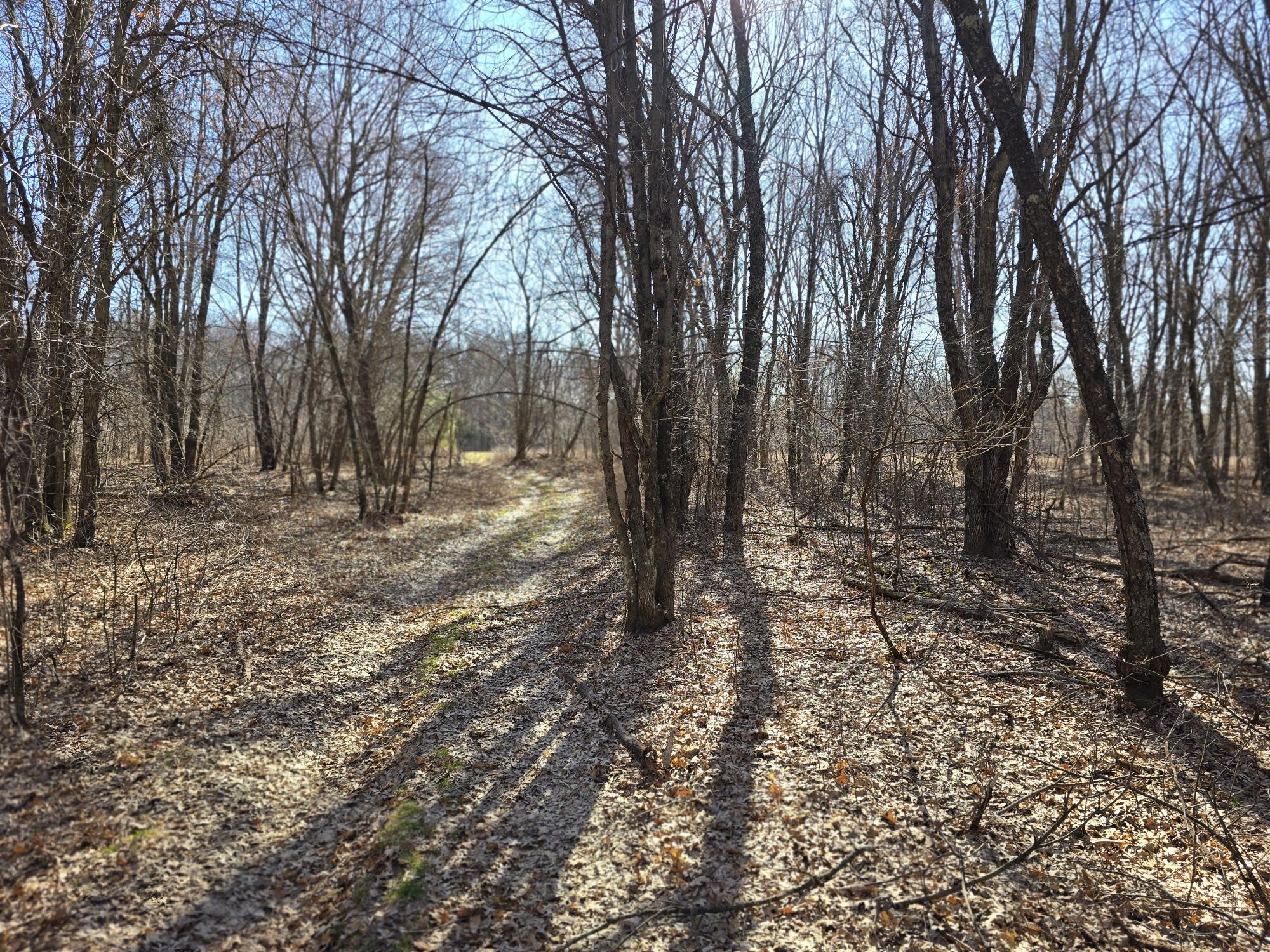 Lot 2 Buck Rub Road Eau Claire WI 54703 1599793 image12