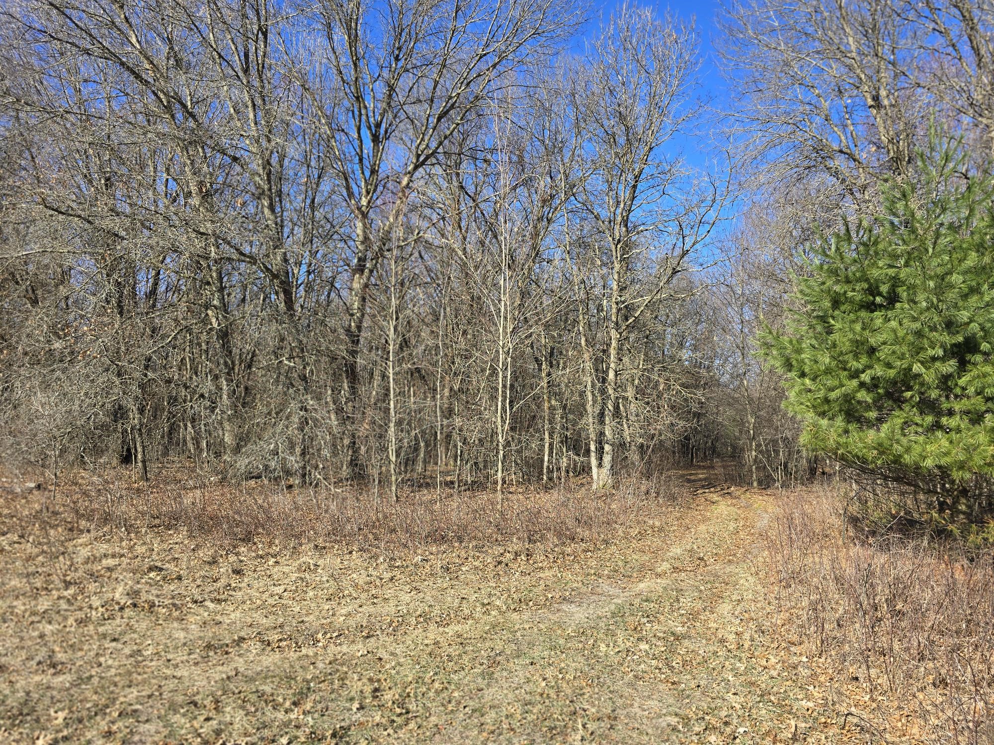 Lot 2 Buck Rub Road Eau Claire WI 54703 1599793 image13