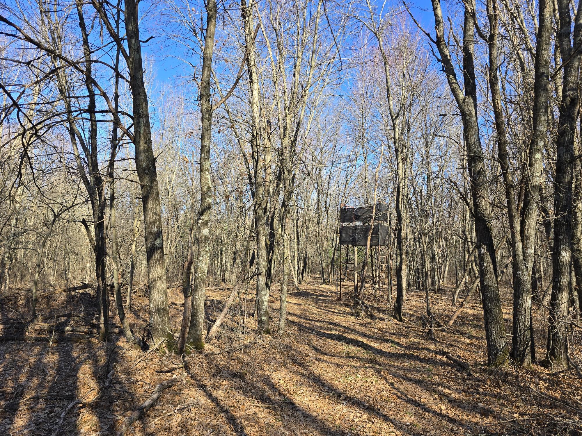 Lot 2 Buck Rub Road Eau Claire WI 54703 1599793 image18