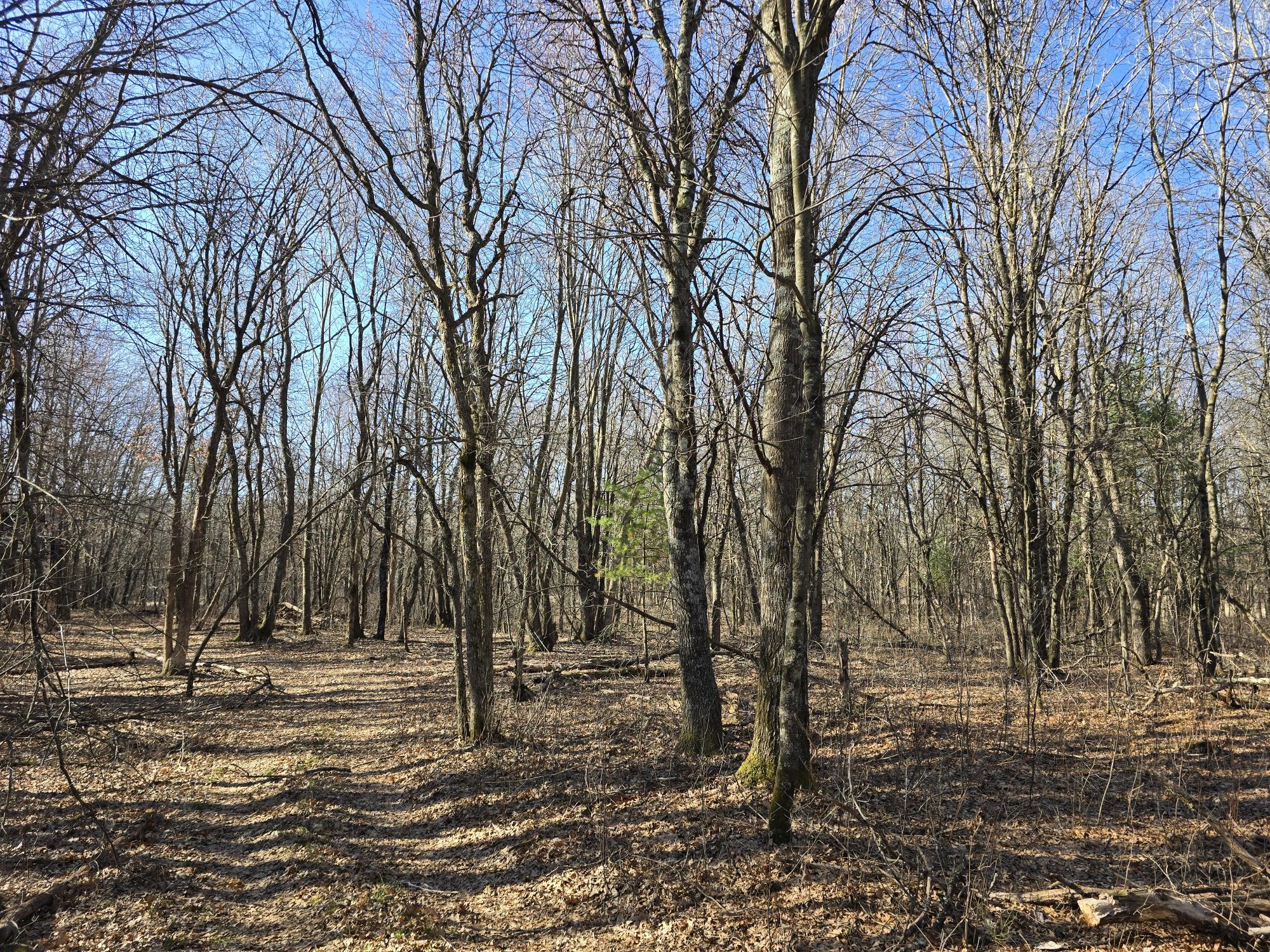 Lot 2 Buck Rub Road Eau Claire WI 54703 1599793 image19