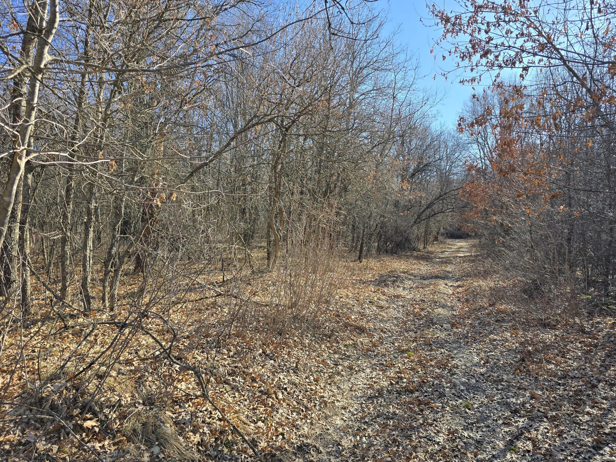 Lot 2 Buck Rub Road Eau Claire WI 54703 1599793 image6