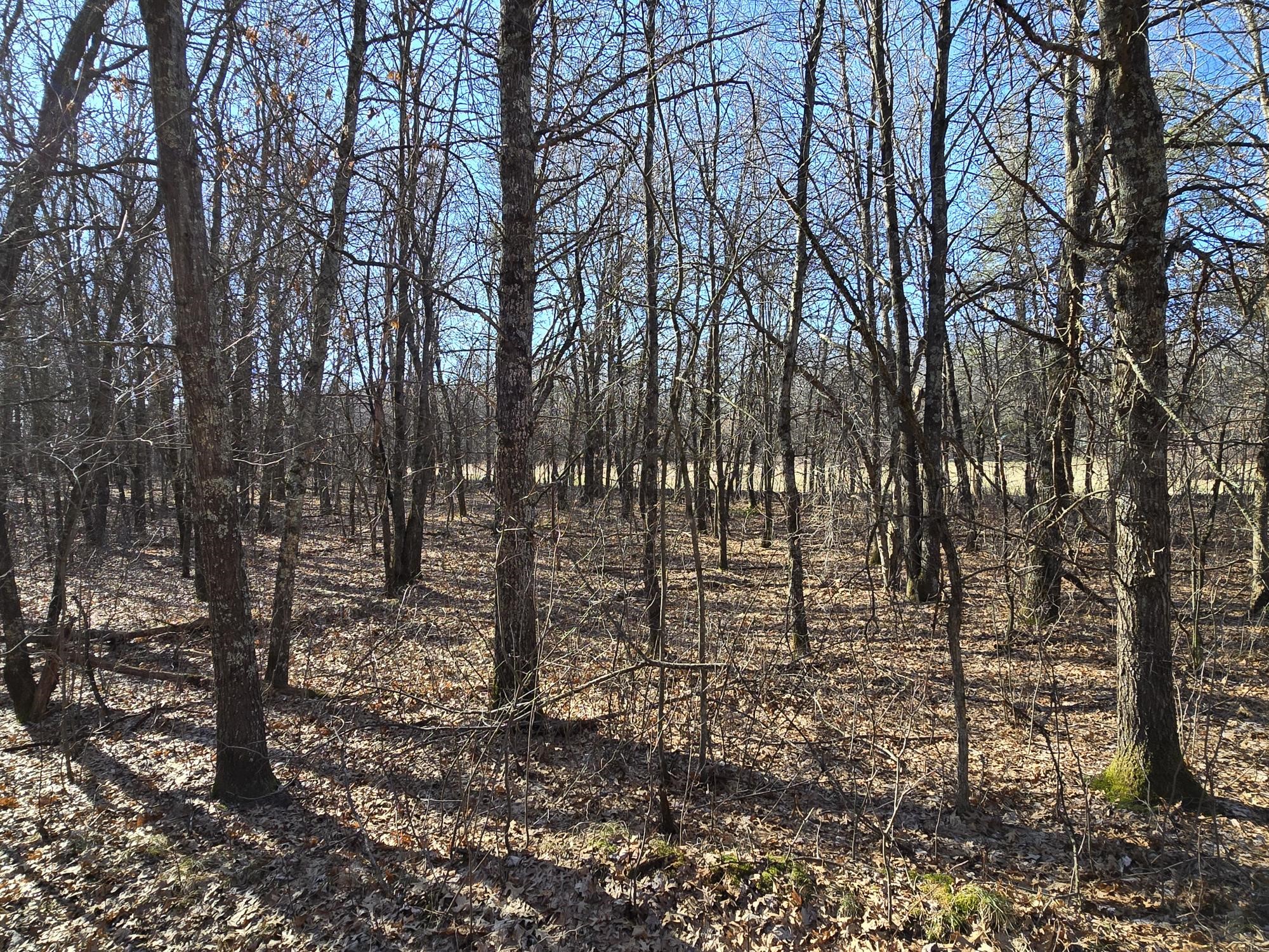 Lot 2 Buck Rub Road Eau Claire WI 54703 1599793 image7