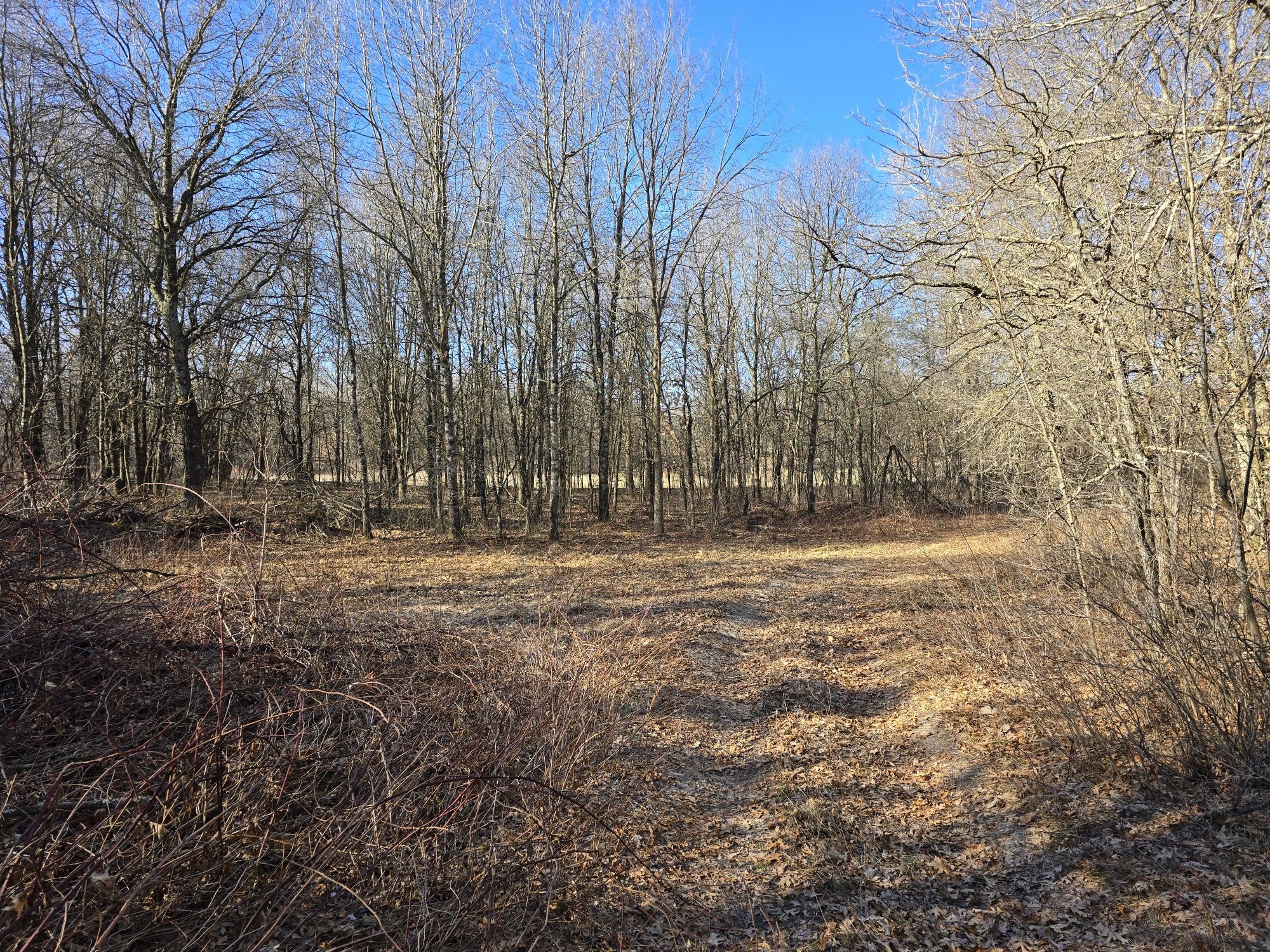 Lot 2 Buck Rub Road Eau Claire WI 54703 1599793 image8