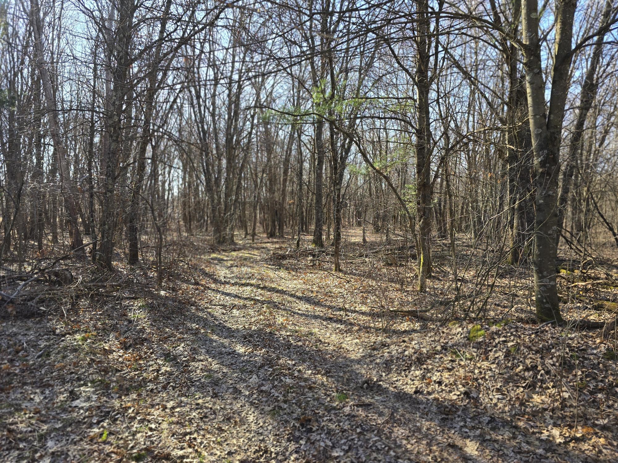 Lot 2 Buck Rub Road Eau Claire WI 54703 1599793 image9