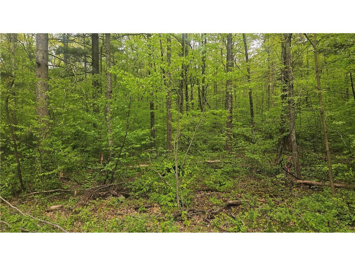 Lot 2 Buckeye Lane Stone Lake WI 54876 1591843 image2