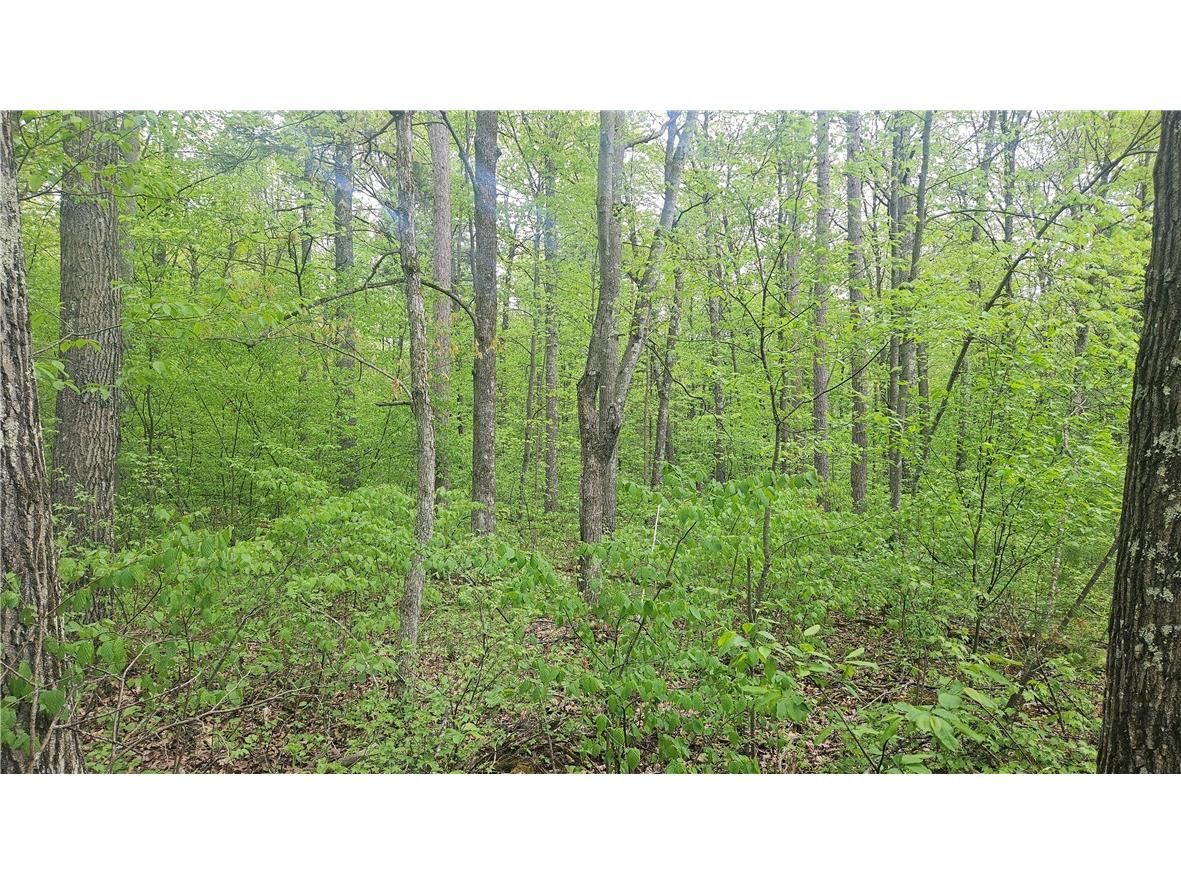 Lot 2 Buckeye Lane Stone Lake WI 54876 1591843 image3