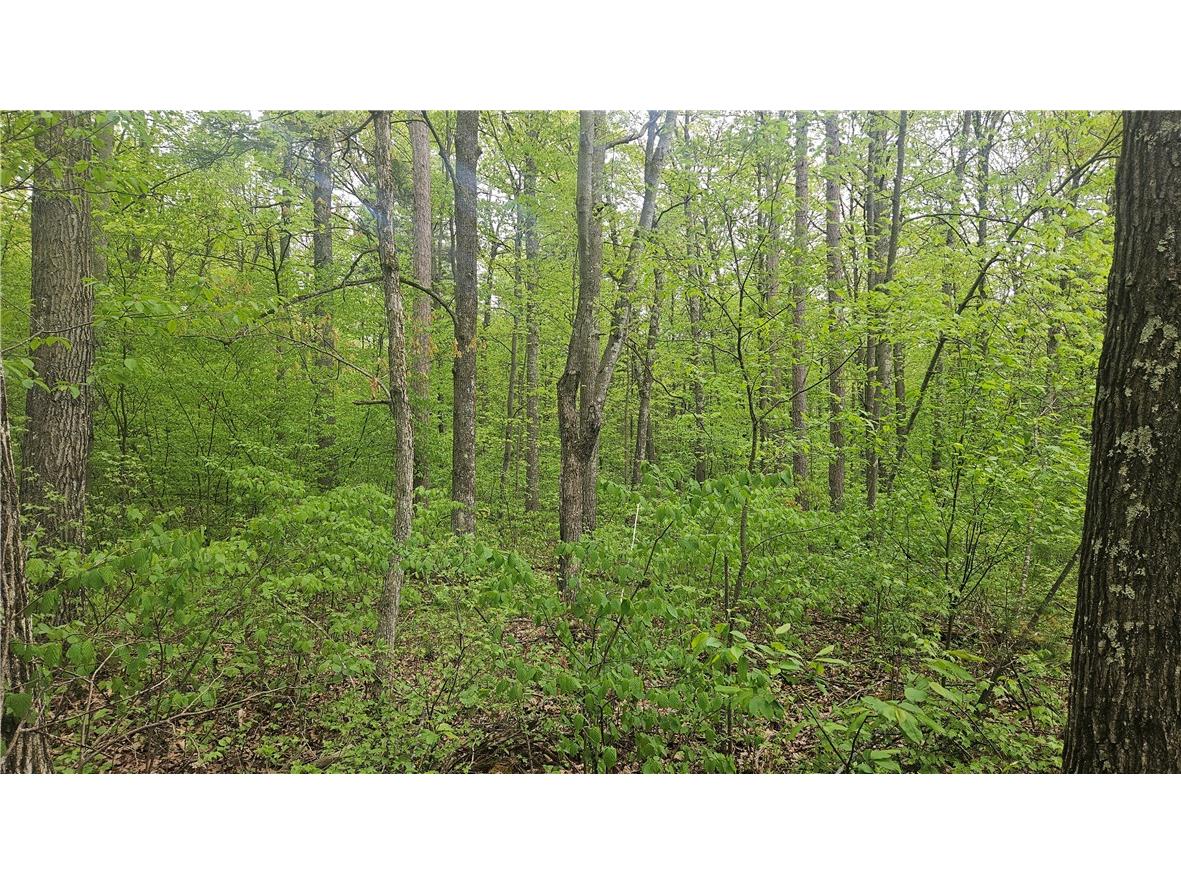 Lot 2 Buckeye Lane Stone Lake WI 54876 1591843 image4