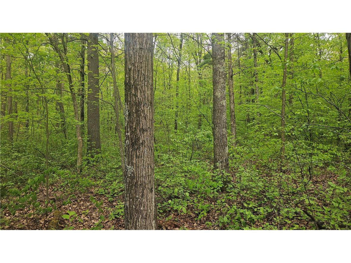 Lot 2 Buckeye Lane Stone Lake WI 54876 1591843 image5