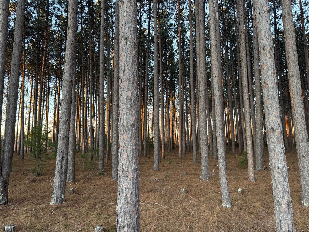 Lot 2 CSM 6341 Jenny Lane Hayward WI 54843 1598334 image8