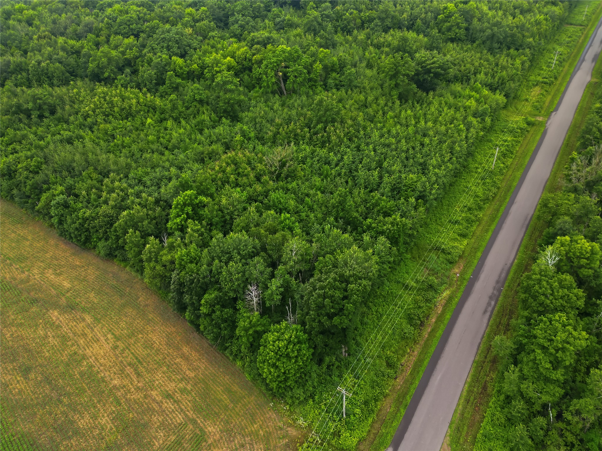 Lot 2 CSM 7522 4th Street Clayton WI 54004 1603318 image15