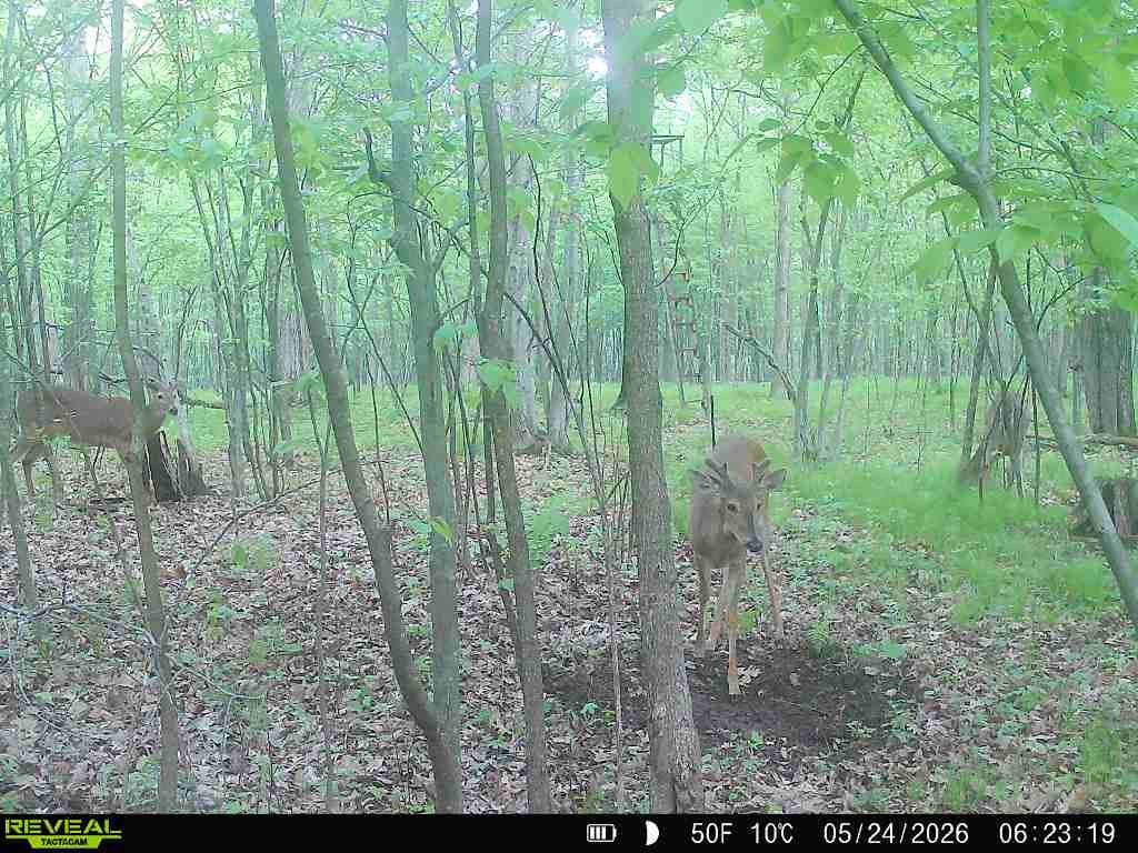 Lot 2 CSM 7522 4th Street Clayton WI 54004 1603318 image18