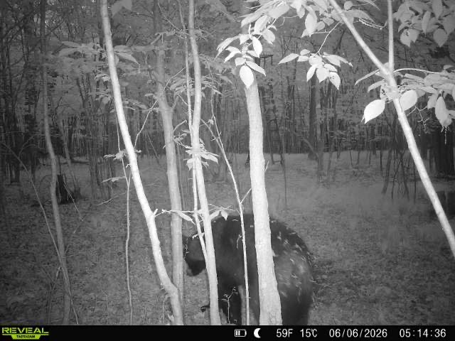 Lot 2 CSM 7522 4th Street Clayton WI 54004 1603318 image20