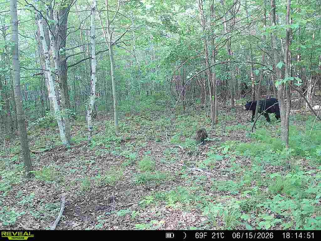 Lot 2 CSM 7522 4th Street Clayton WI 54004 1603318 image21