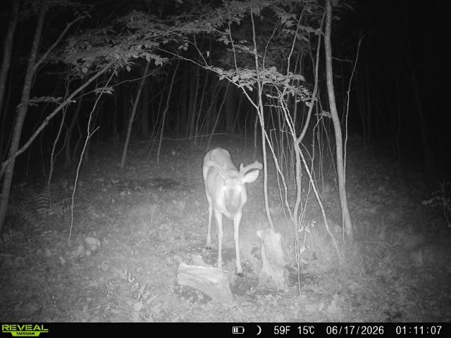 Lot 2 CSM 7522 4th Street Clayton WI 54004 1603318 image22