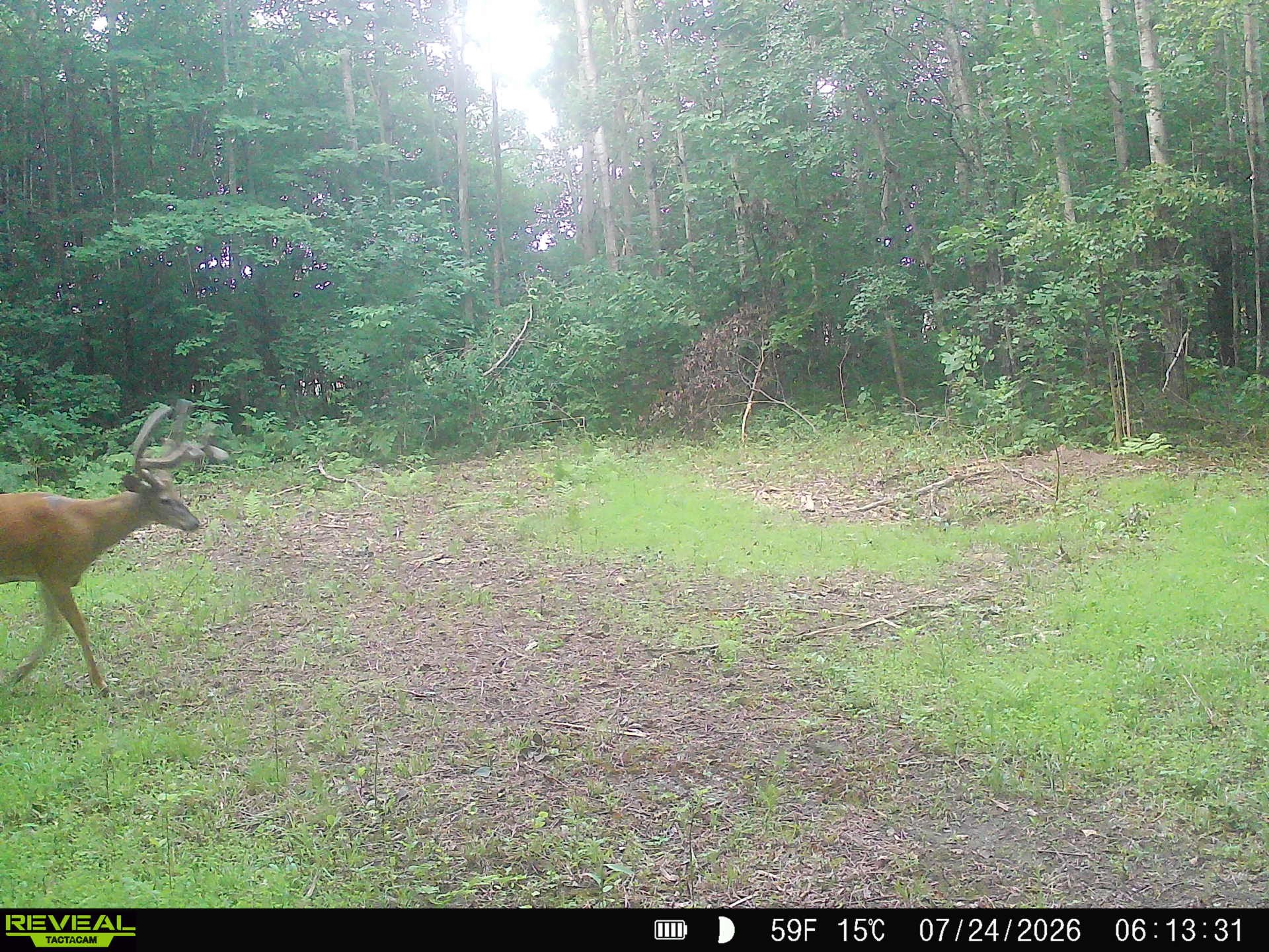 Lot 2 CSM 7522 4th Street Clayton WI 54004 1603318 image24