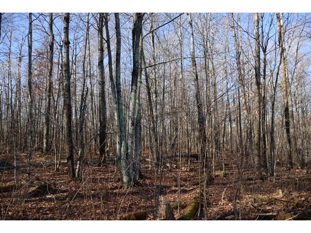 Lot 2 County Highway T Hayward WI 54843 1578341 image1