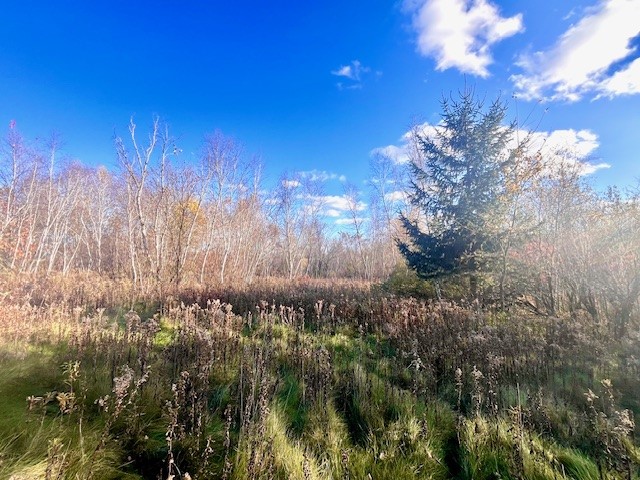 Lot 2 County Rd Q Clear Lake WI 54005 1597384 image10