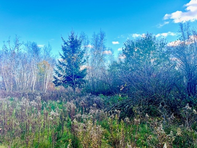 Lot 2 County Rd Q Clear Lake WI 54005 1597384 image7