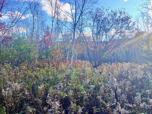 Lot 2 County Rd Q Clear Lake WI 54005 1597384 image8