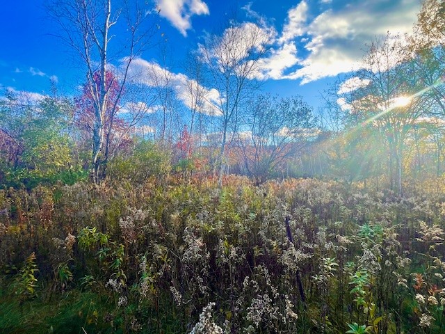 Lot 2 County Rd Q Clear Lake WI 54005 1597384 image9