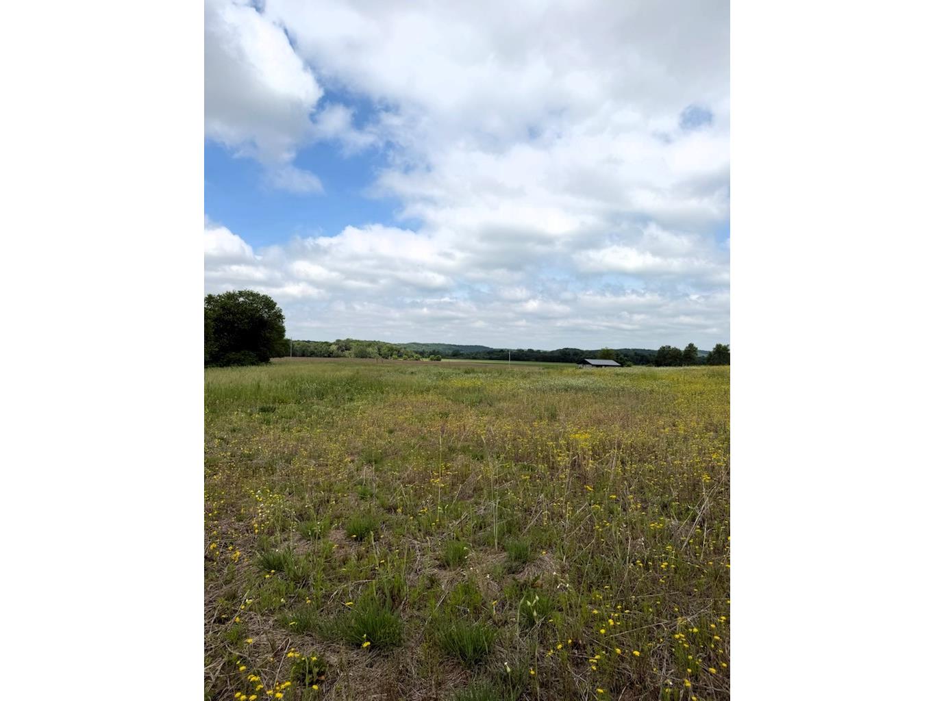 Lot 2 County Road F Boyceville WI 54725 1601758 image12