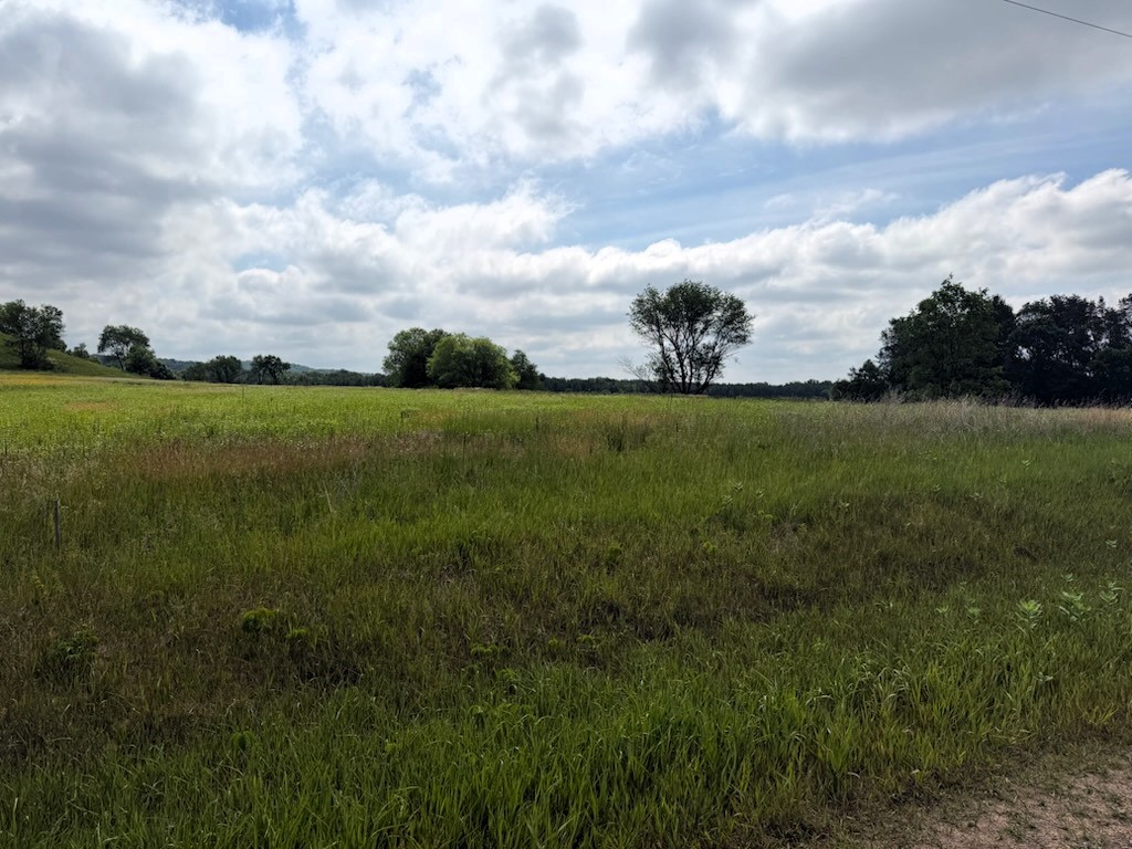 Lot 2 County Road F Boyceville WI 54725 1601758 image3