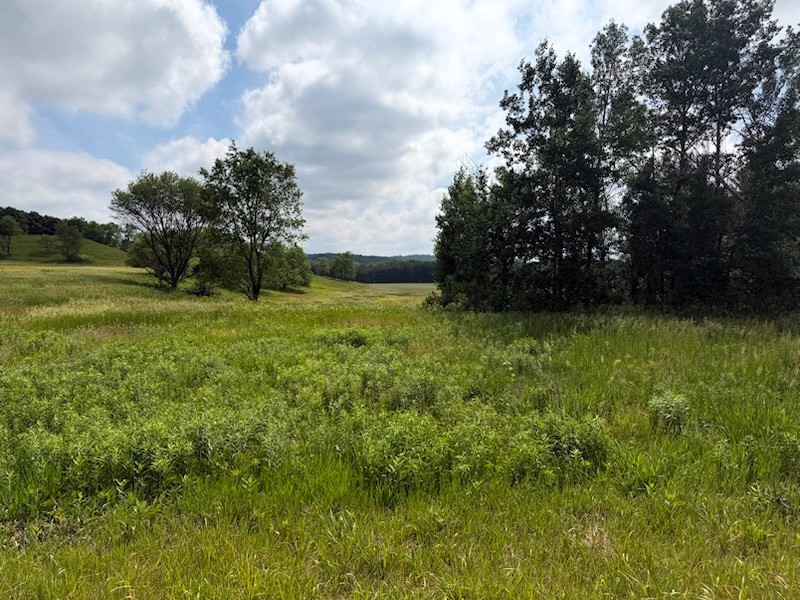 Lot 2 County Road F Boyceville WI 54725 1601758 image5