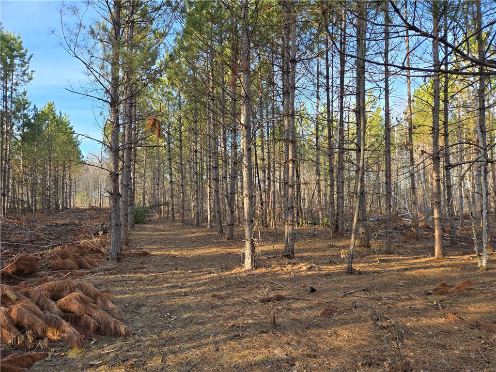 Lot 2 County Road S Wheeler WI 54730 - Otter Creek 1589960 image1