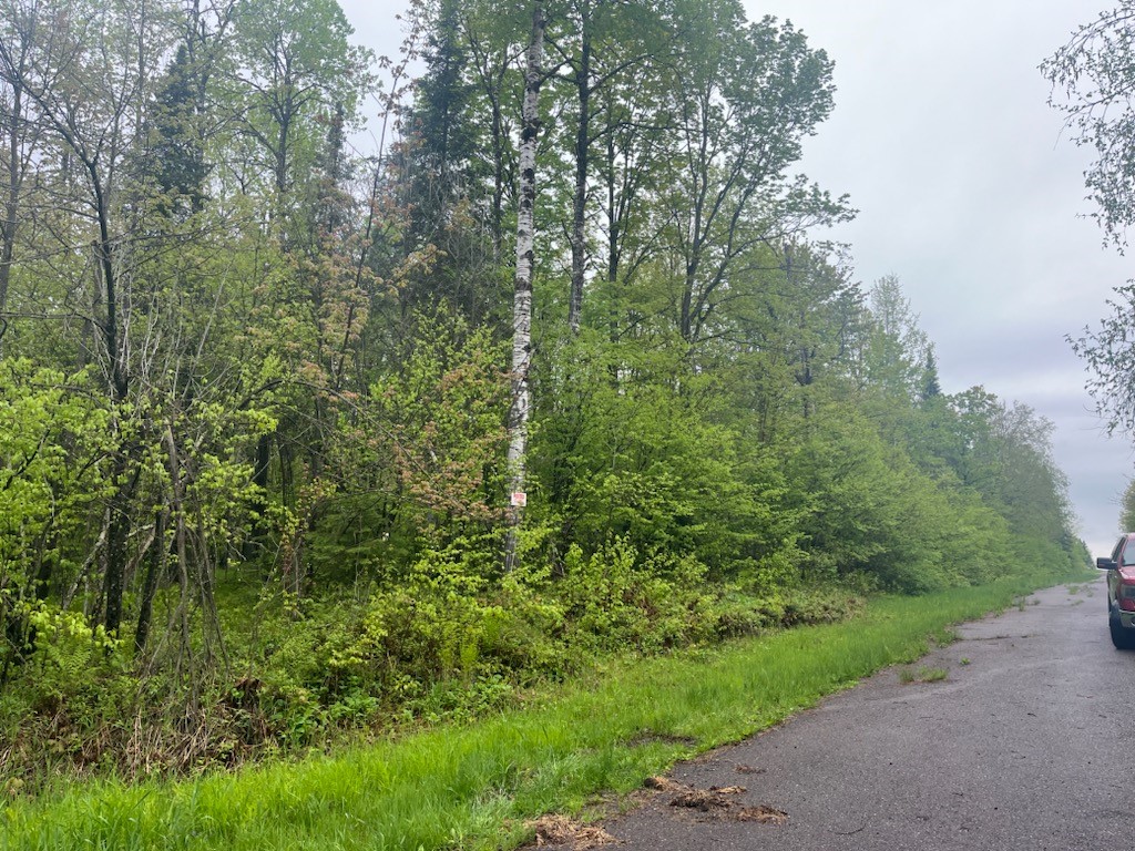 Lot 2 Delap Lane Couderay WI 54828 1601498 image2
