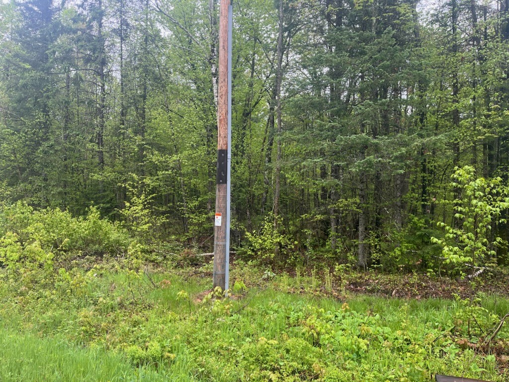 Lot 2 Delap Lane Couderay WI 54828 1601498 image3