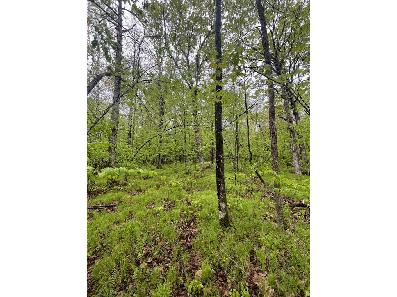 Lot 2 Delap Lane Couderay WI 54828 1601498 image5