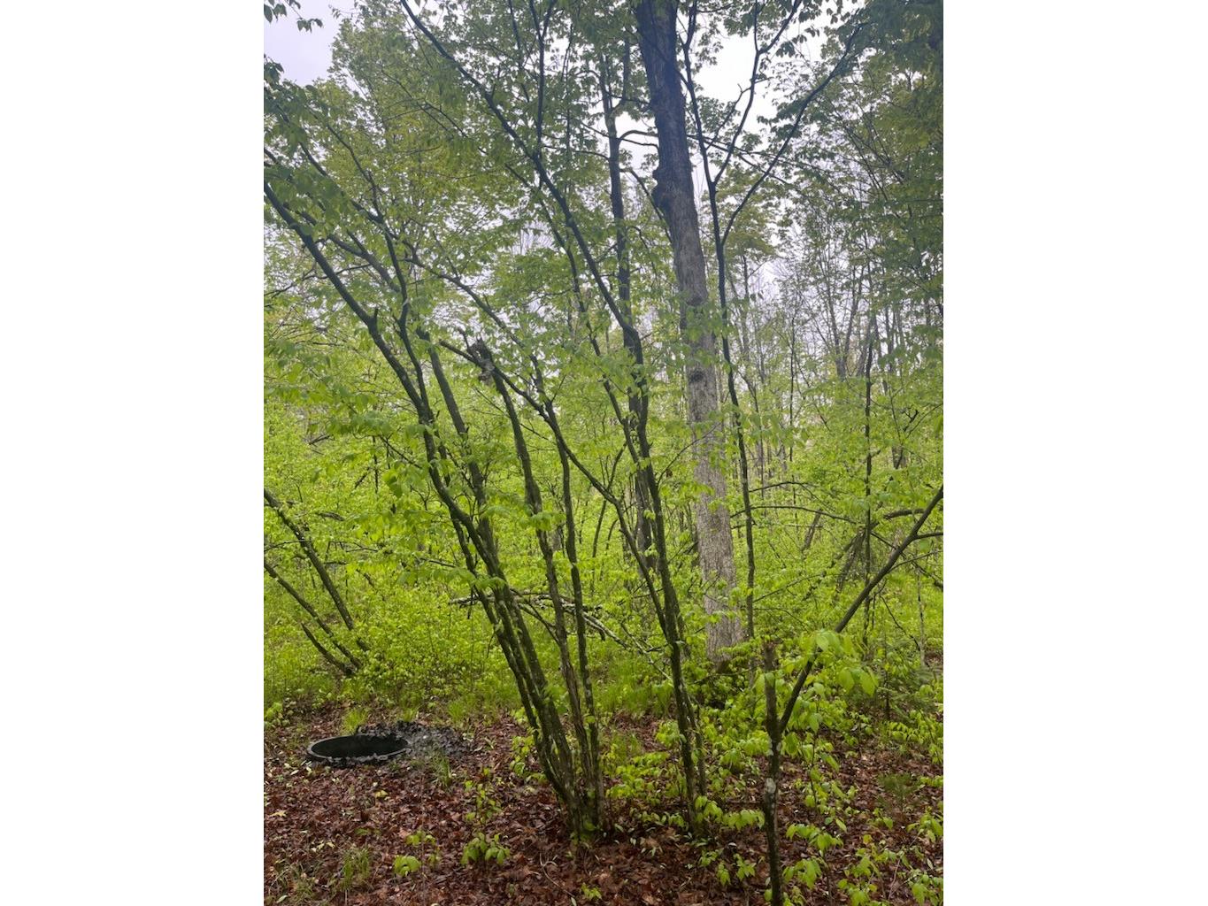 Lot 2 Delap Lane Couderay WI 54828 1601498 image6