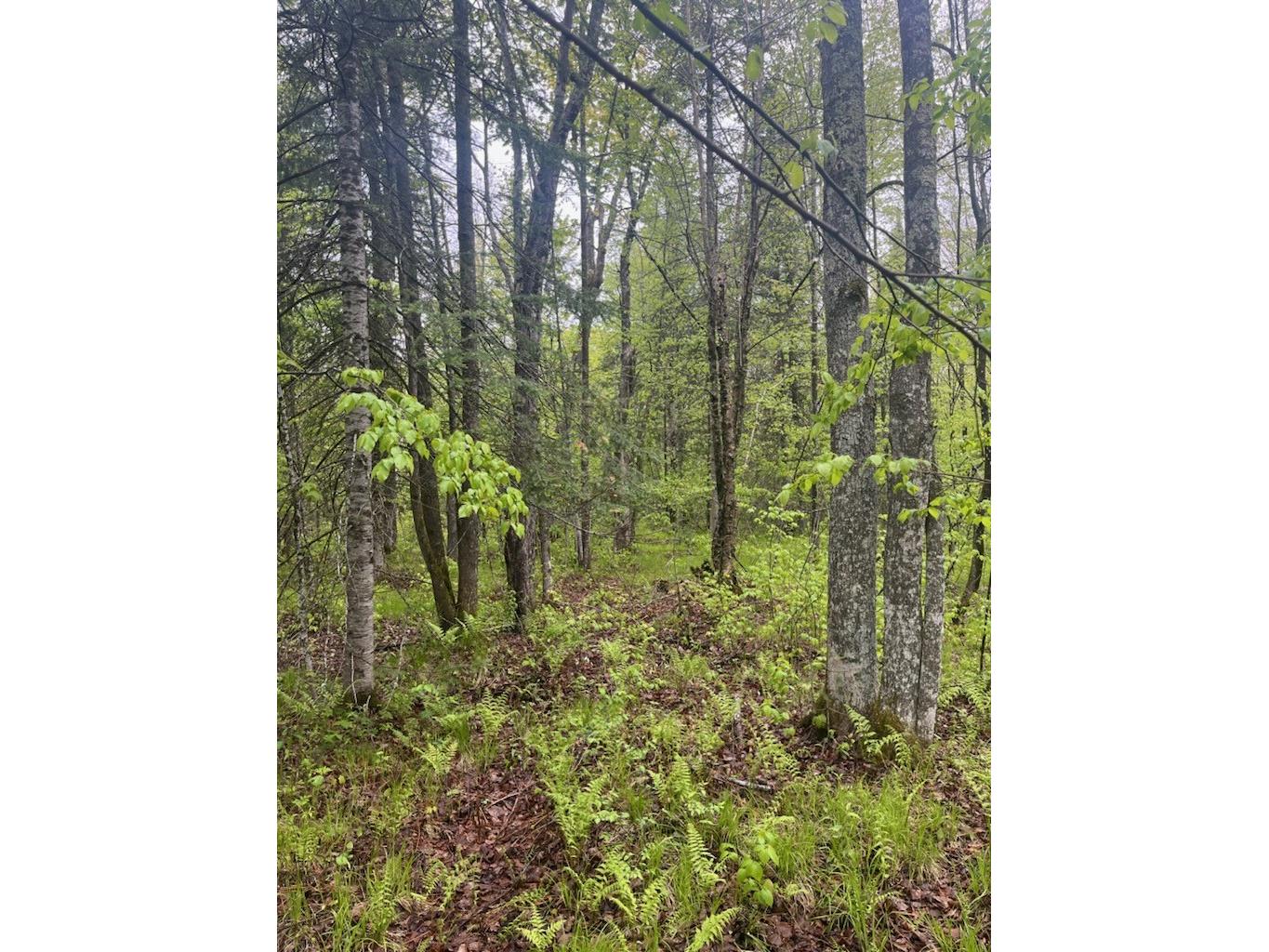 Lot 2 Delap Lane Couderay WI 54828 1601498 image7