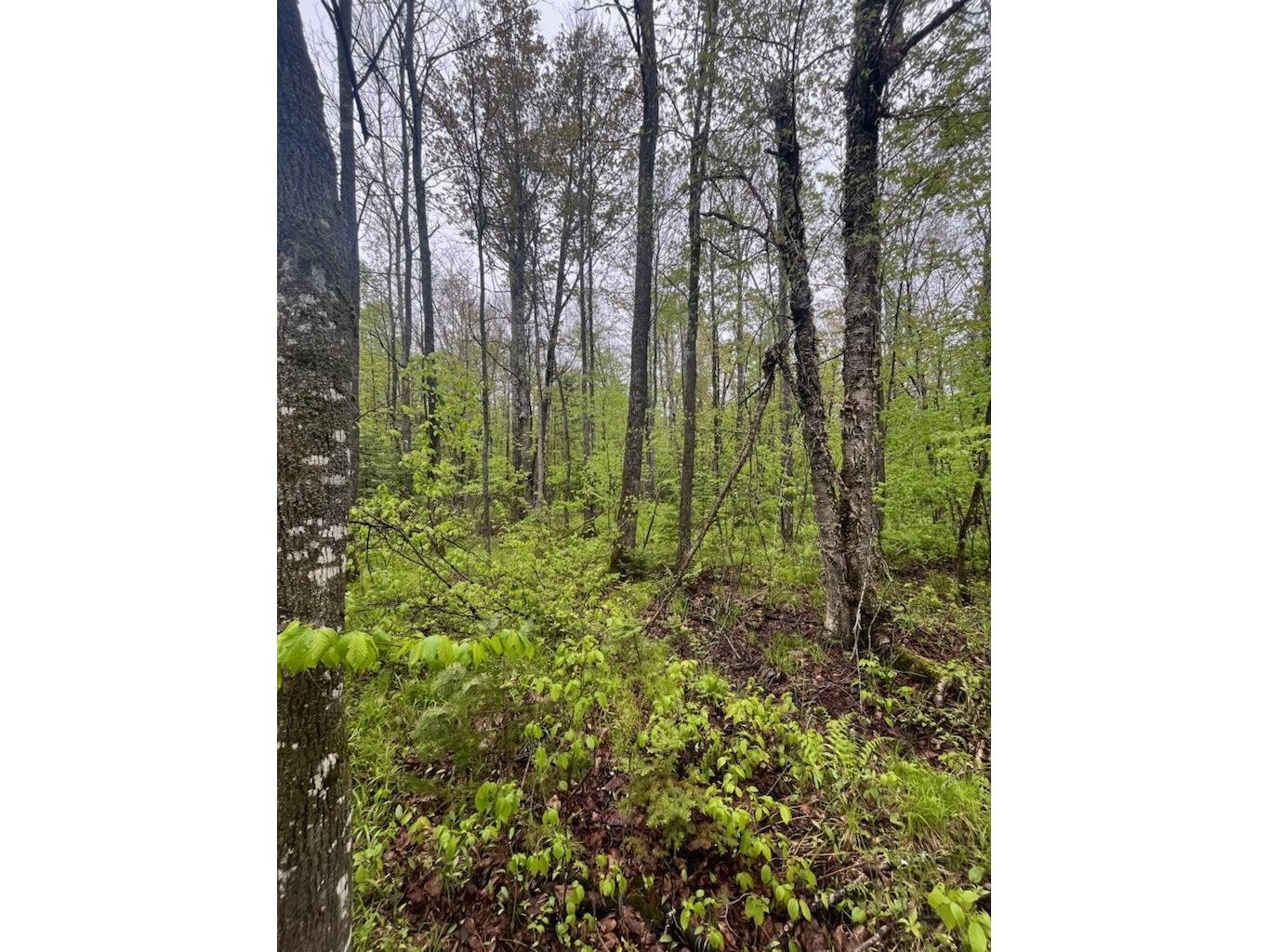 Lot 2 Delap Lane Couderay WI 54828 1601498 image8