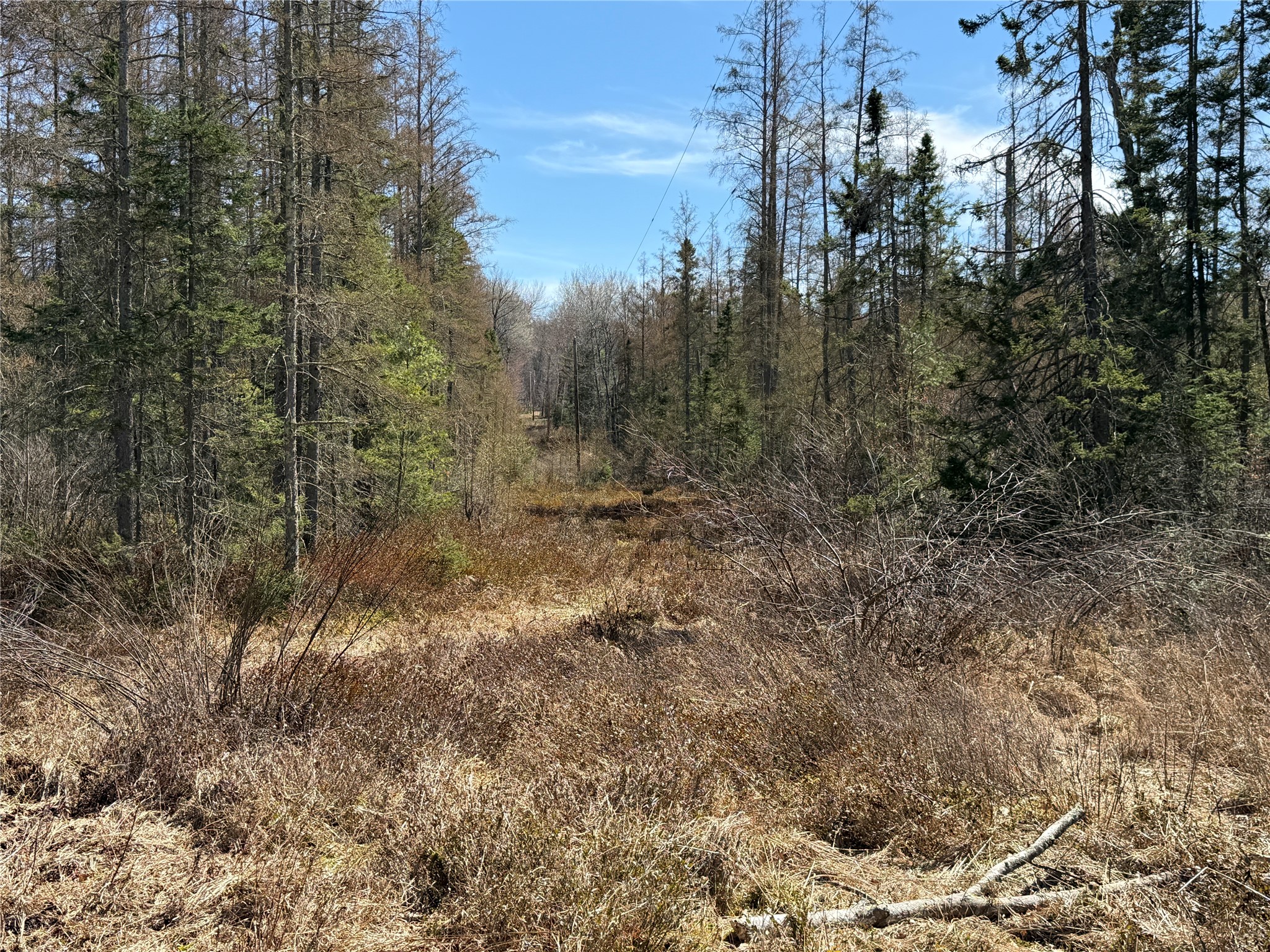 Lot 2 Eaton Road Hayward WI 54843 1598172 image1