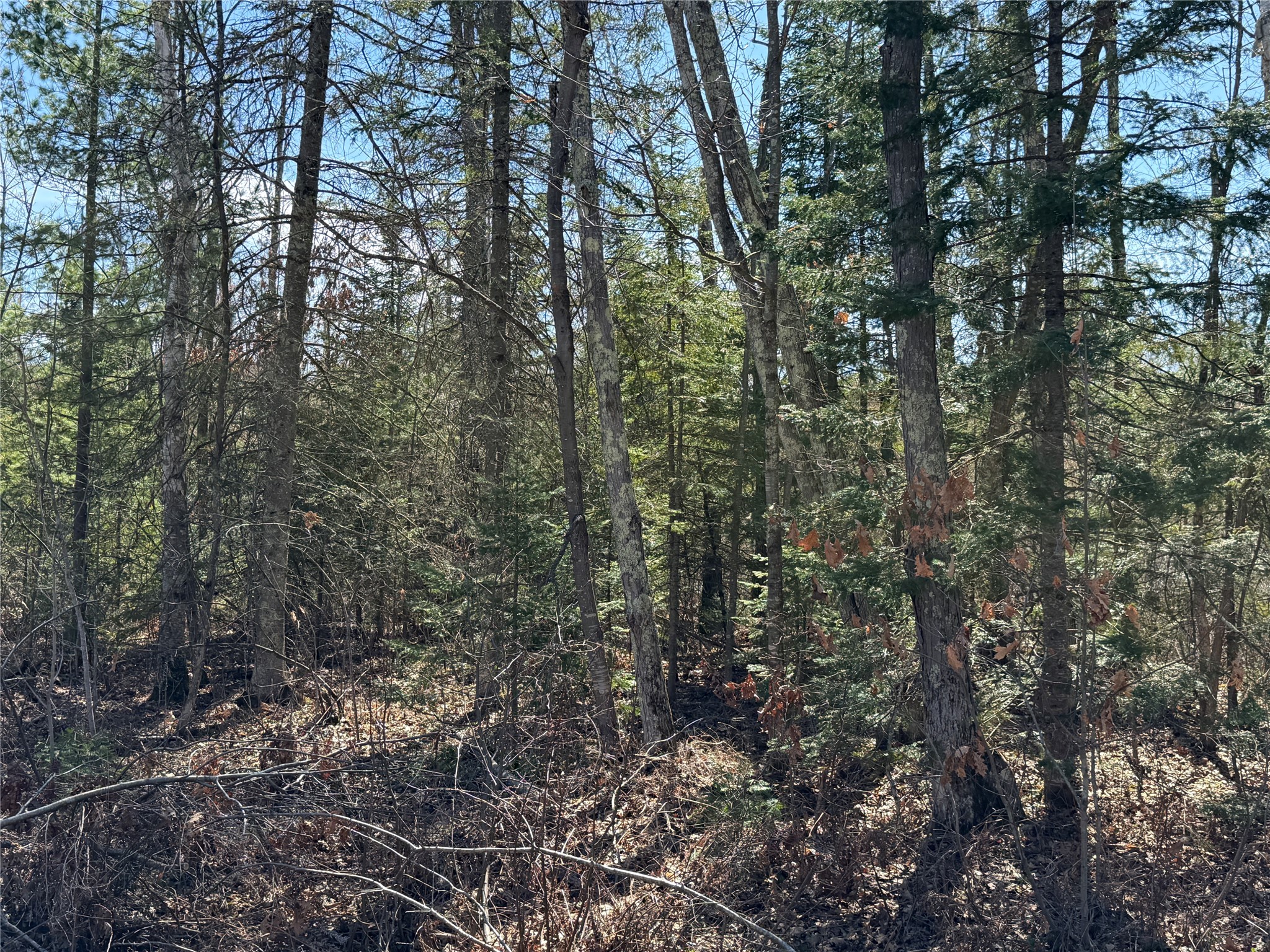 Lot 2 Eaton Road Hayward WI 54843 1598172 image12