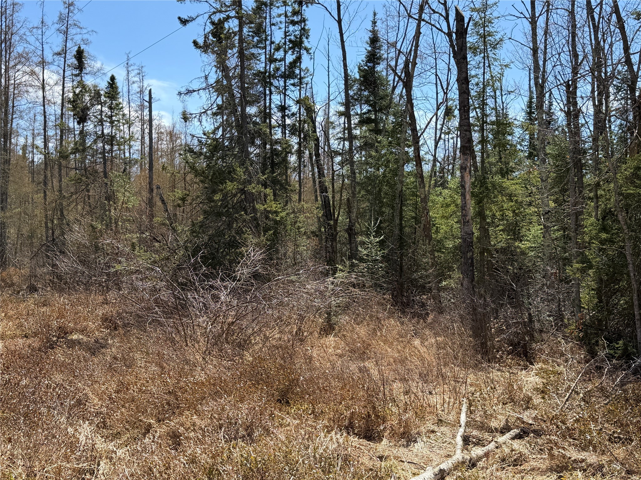 Lot 2 Eaton Road Hayward WI 54843 1598172 image13