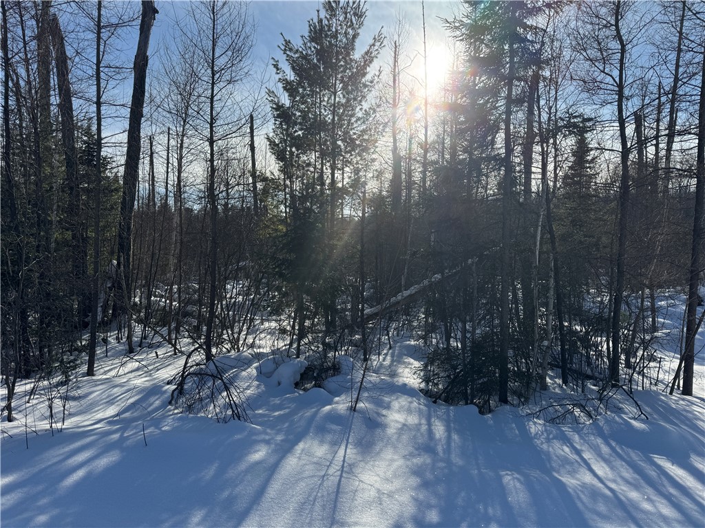 Lot 2 Eaton Road Hayward WI 54843 1598172 image18
