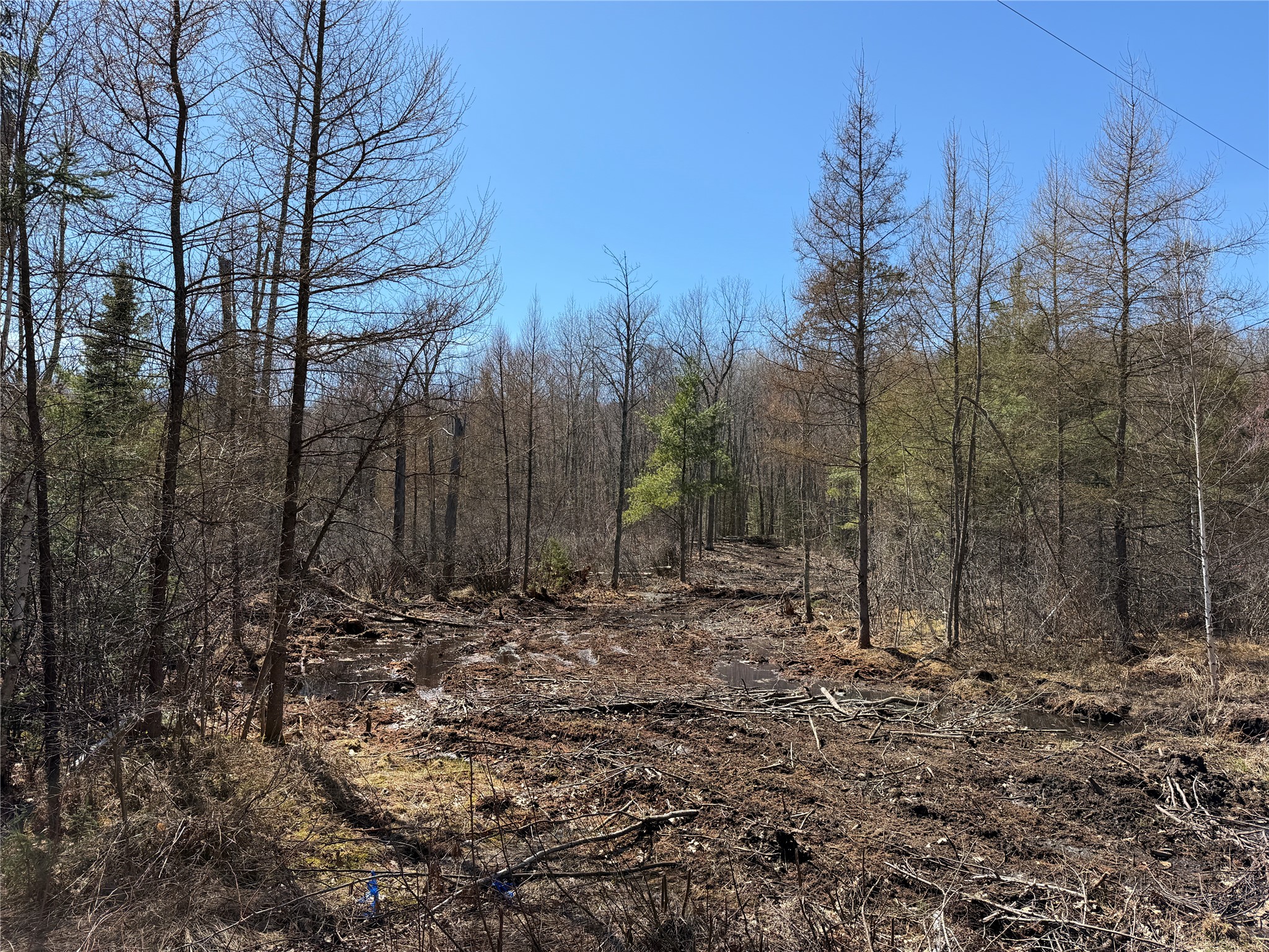 Lot 2 Eaton Road Hayward WI 54843 1598172 image5