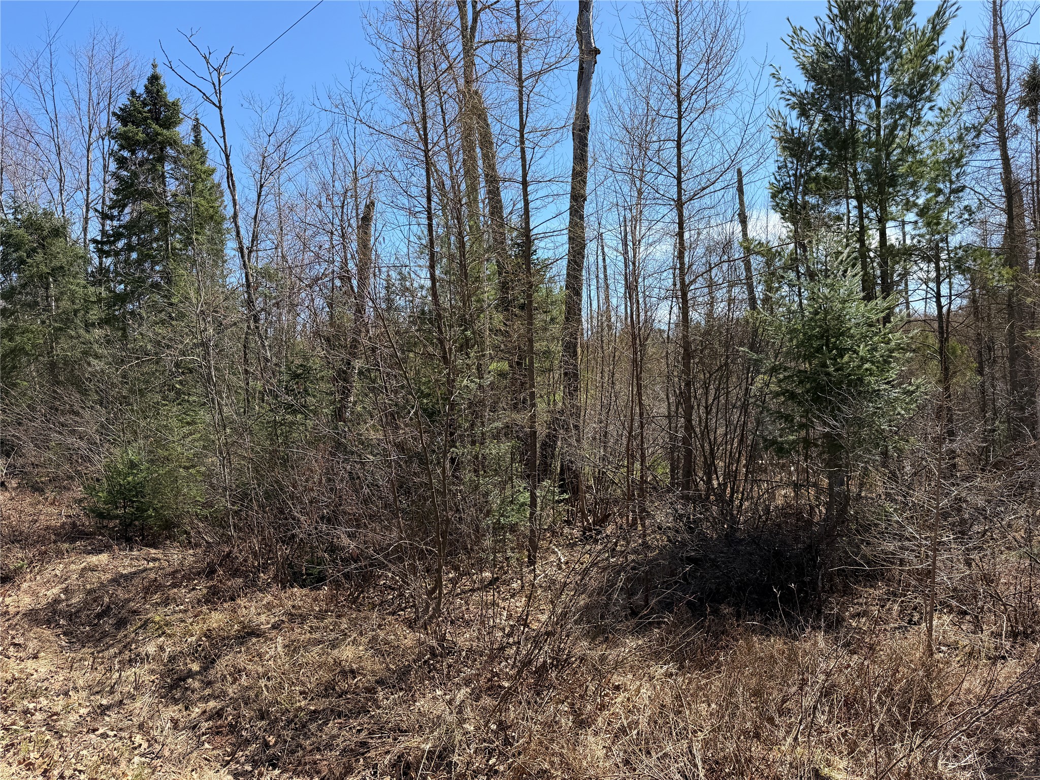 Lot 2 Eaton Road Hayward WI 54843 1598172 image7