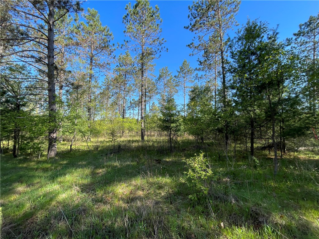 Lot 2 Elaine Drive Hayward WI 54843 1591963 image1