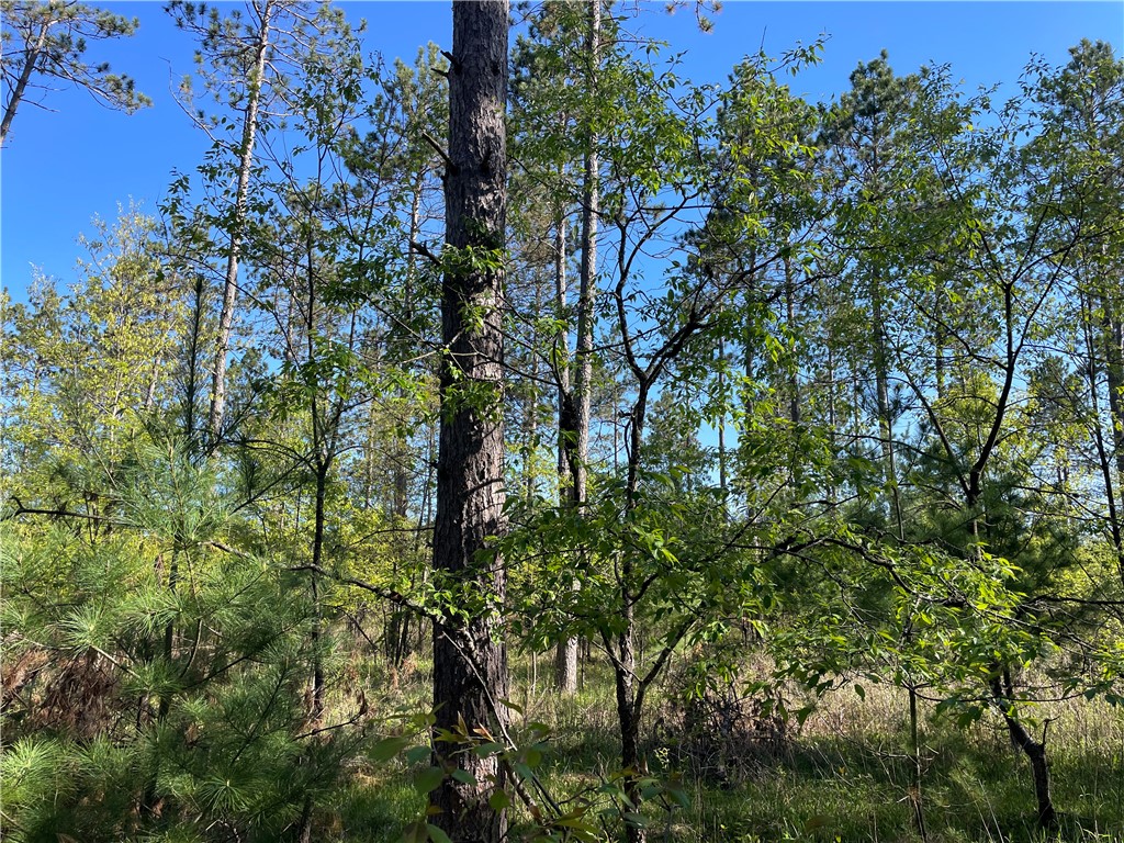 Lot 2 Elaine Drive Hayward WI 54843 1591963 image10