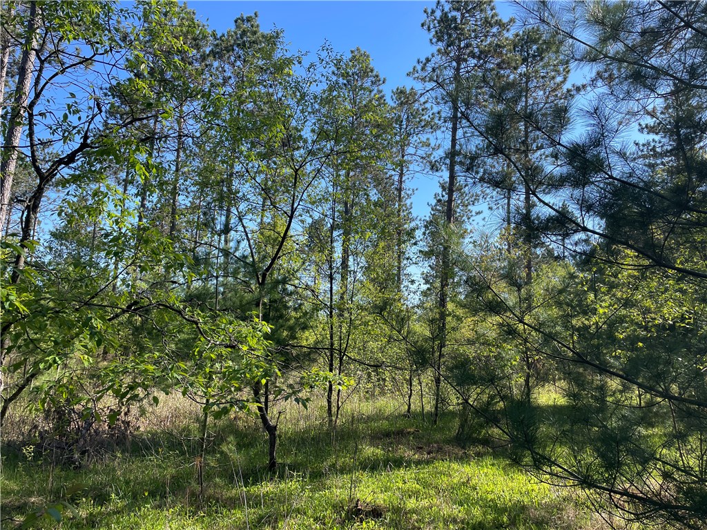 Lot 2 Elaine Drive Hayward WI 54843 1591963 image11