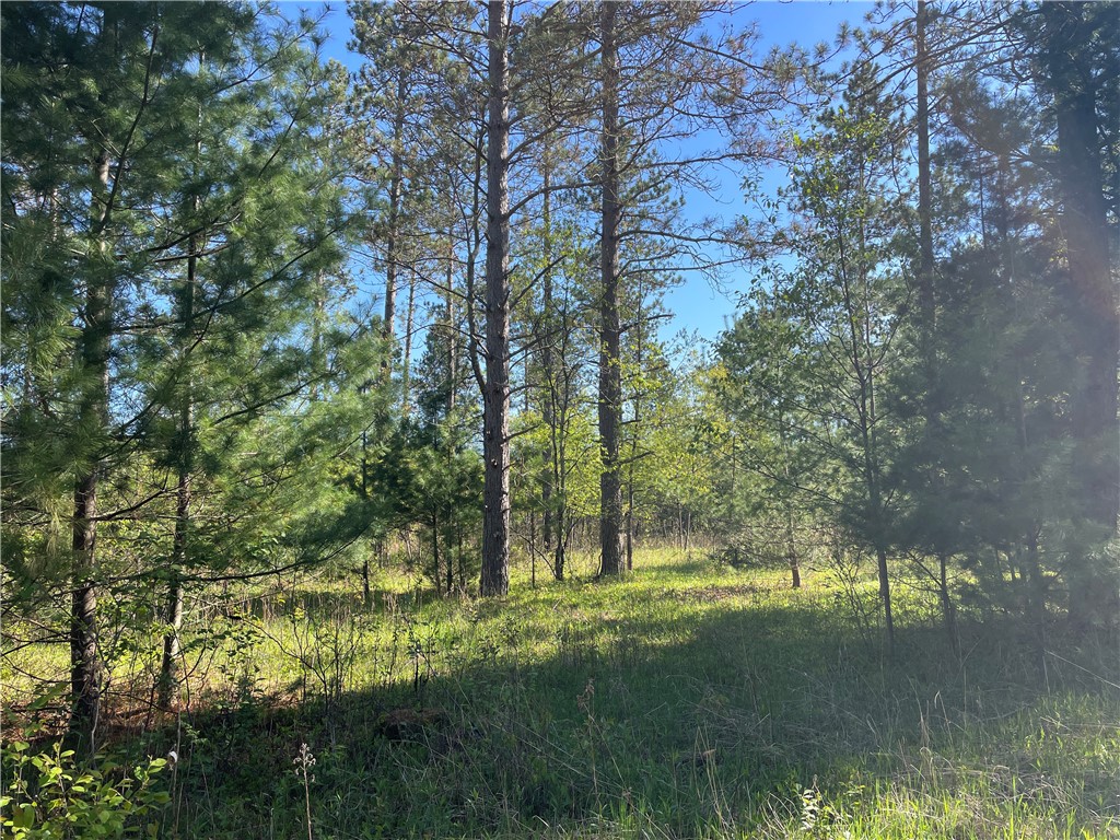 Lot 2 Elaine Drive Hayward WI 54843 1591963 image12