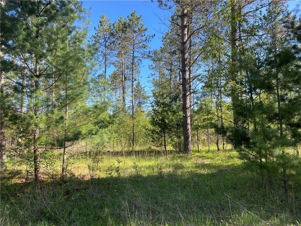 Lot 2 Elaine Drive Hayward WI 54843 1591963 image13