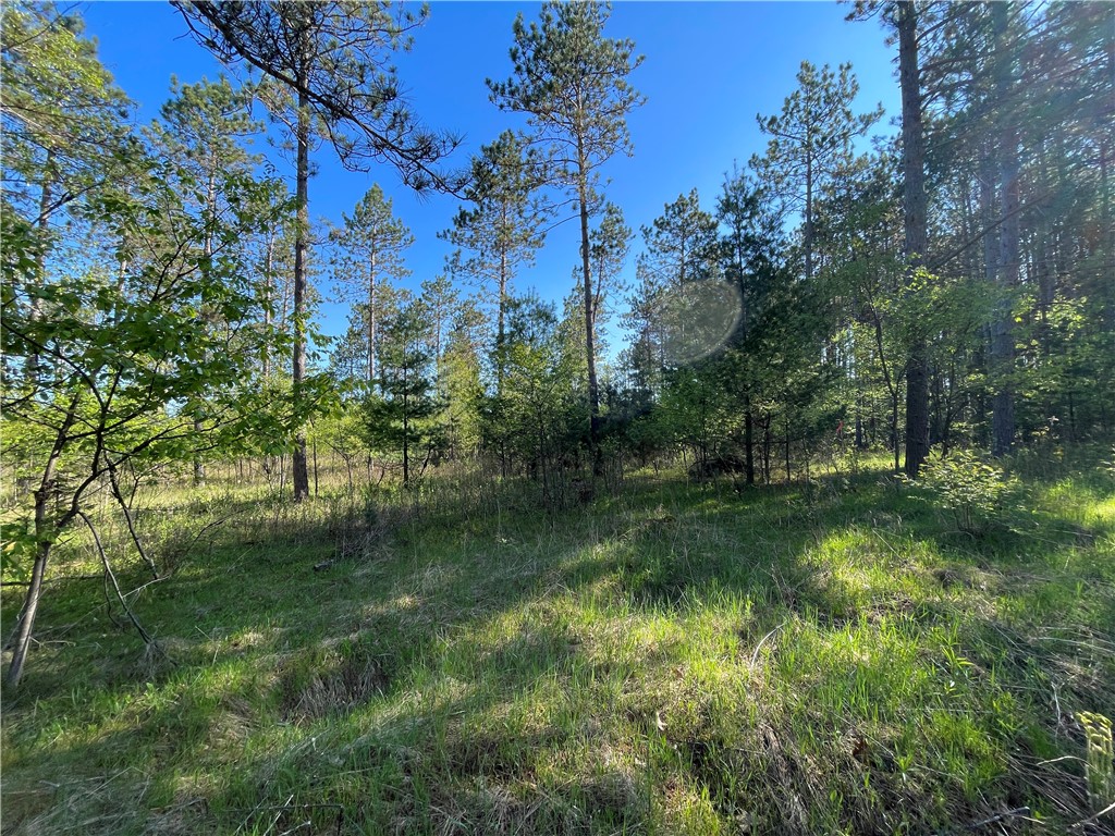 Lot 2 Elaine Drive Hayward WI 54843 1591963 image3