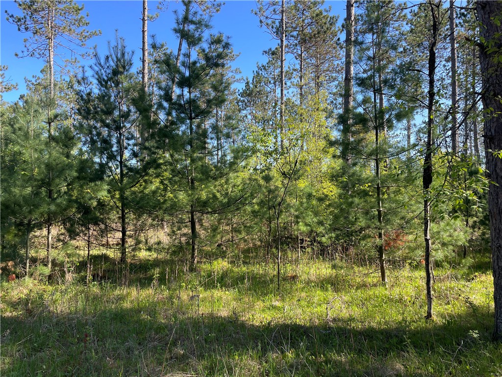 Lot 2 Elaine Drive Hayward WI 54843 1591963 image7