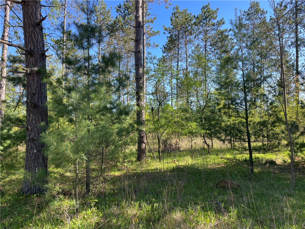 Lot 2 Elaine Drive Hayward WI 54843 1591963 image8